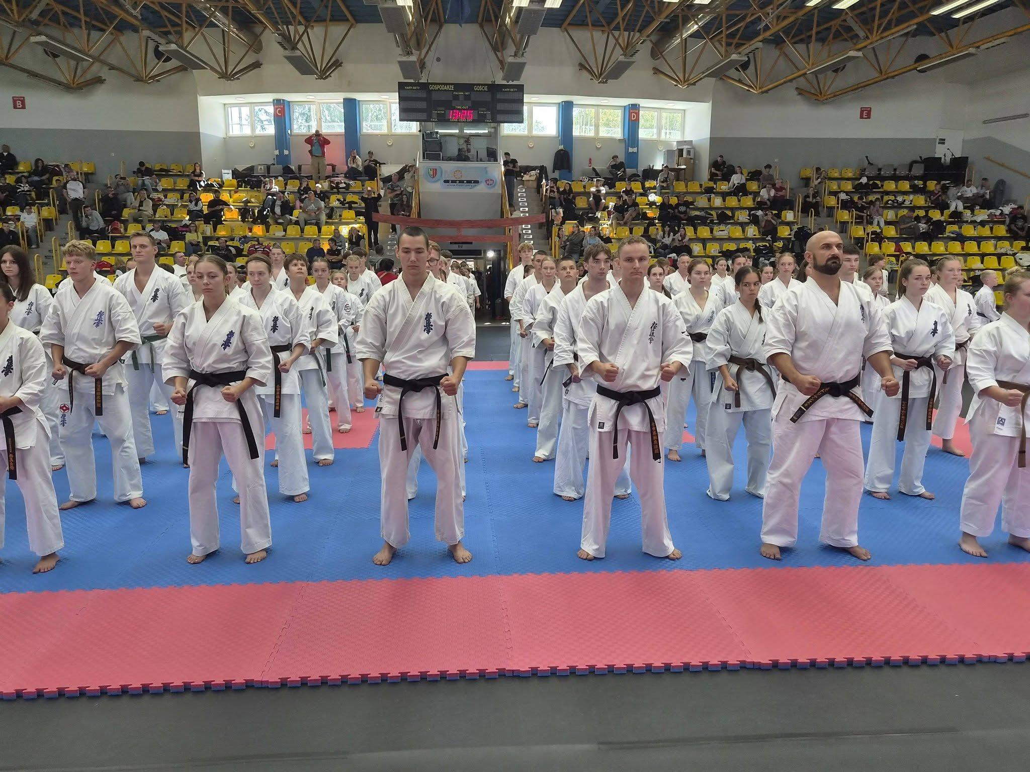 Zdj. nr. 7. Ogólnopolski Turniej Karate Kyokushin SATRI CUP - 26 września 2026 r., Żory
