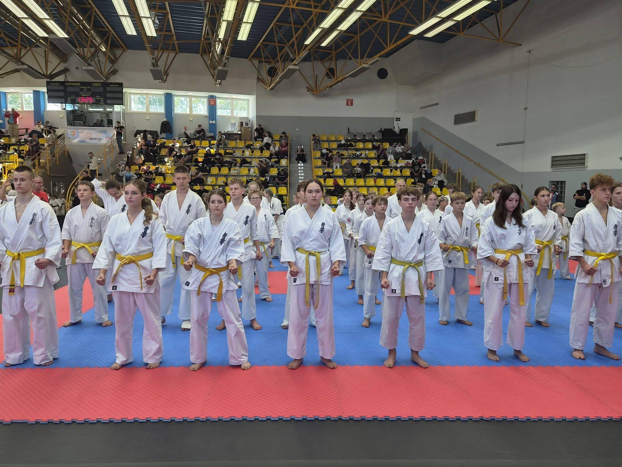 Zdj. nr. 9. Ogólnopolski Turniej Karate Kyokushin SATRI CUP - 26 września 2026 r., Żory