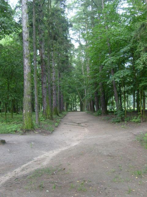 Zdj. nr. 19. Park Miejski