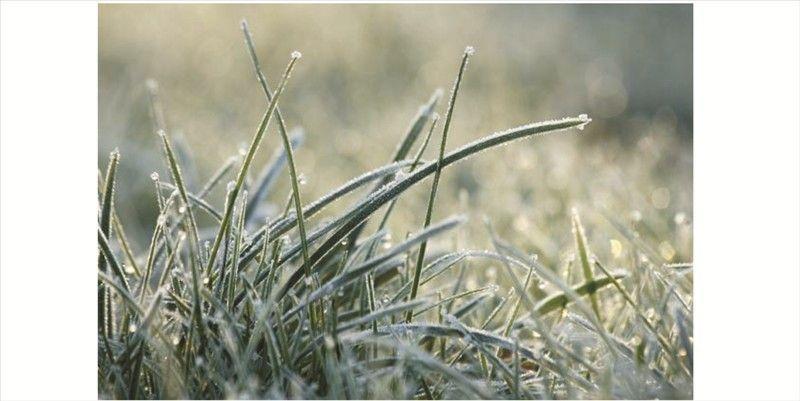 Ostrzeżenie meteorologiczne: opady śniegu i przymrozki