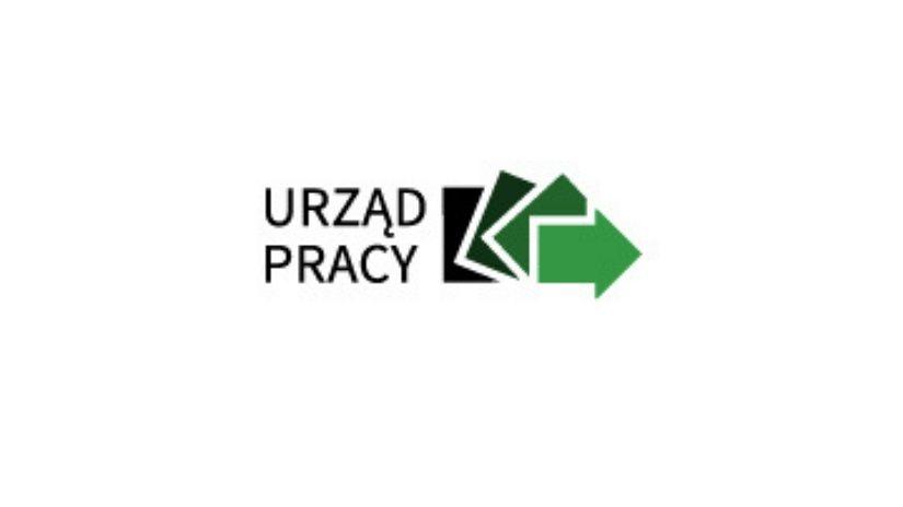 Informacja o projektach Powiatowego Urzędu Pracy w Lipnie