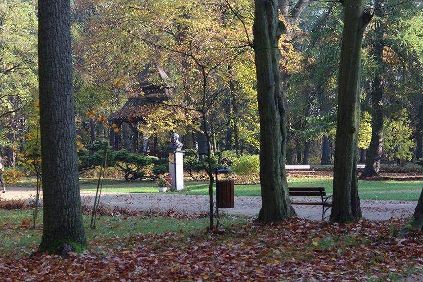 Park Miejski w barwach jesieni (galeria zdjęć)