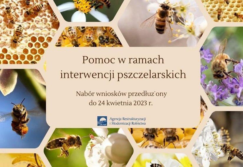 Informacja ARiMR: Trzy interwencje pszczelarskie - nabór wniosków przedłużony do 24 kwietnia 2023 r.