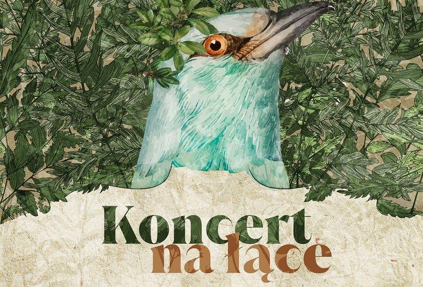 Koncert na łące 