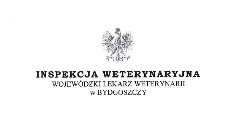 ASF - informacja Kujawsko Pomorskiego Wojewódzkiego Lekarza Weterynarii