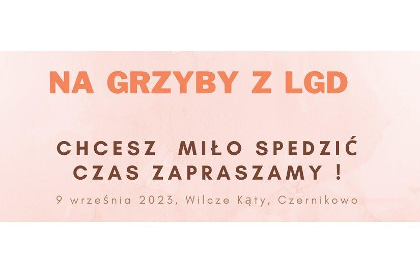 Grzybobranie 2023