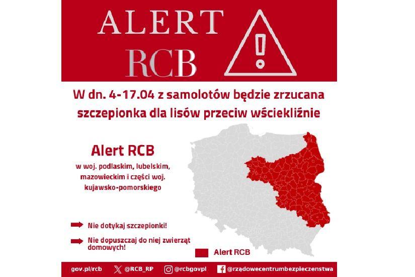 Alert RCB – szczepienie lisów przeciwko wściekliźnie