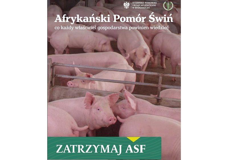 Zatrzymaj ASF - Afrykański Pomór Świń - co każdy właściciel gospodarstwa powinien wiedzieć - broszura informacyjna