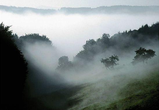 Ostrzeżenia meteorologiczne: gęsta mgła