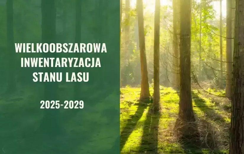 Wielkoobszarowa Inwentaryzacja Stanu Lasu