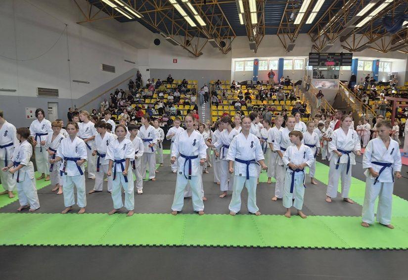 Kolejny weekend, kolejne sukcesy Lipnowskiego Klubu Kyokushin Karate