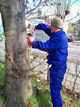 Szrotówka im nie straszna