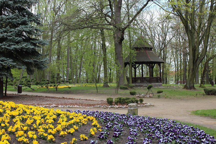Zagospodarowanie przestrzeni publicznej Parku Miejskiego w Lipnie - informacja o przetargu