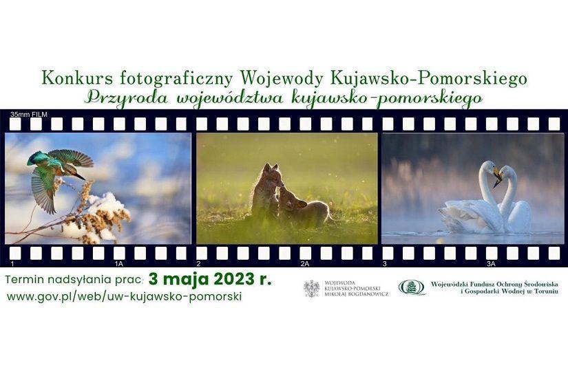Przyroda województwa kujawsko-pomorskiego - konkurs fotograficzny Wojewody – edycja 2023