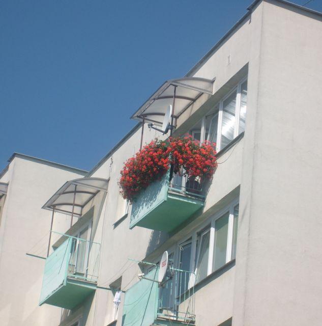 Zdj. nr. 27. Najładniejszy balkon 2008