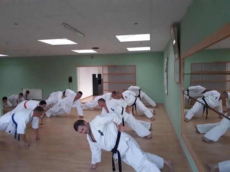 Zdj. nr. 1. Seminarium szkoleniowe Karate w Niemczech