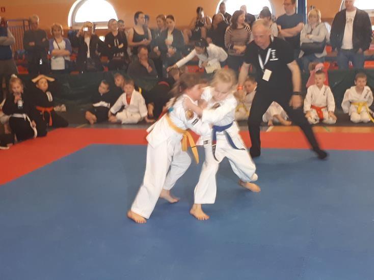 Zdj. nr. 2. Lipnowski Klub Kyokushin Karate - Wilkowice 2018