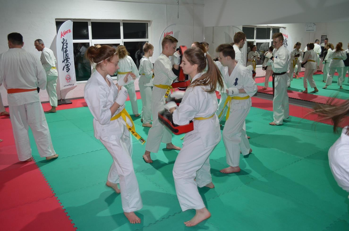 Trening zawodników klubów Kyokushin Karate - kliknięcie spowoduje powiększenie obrazka