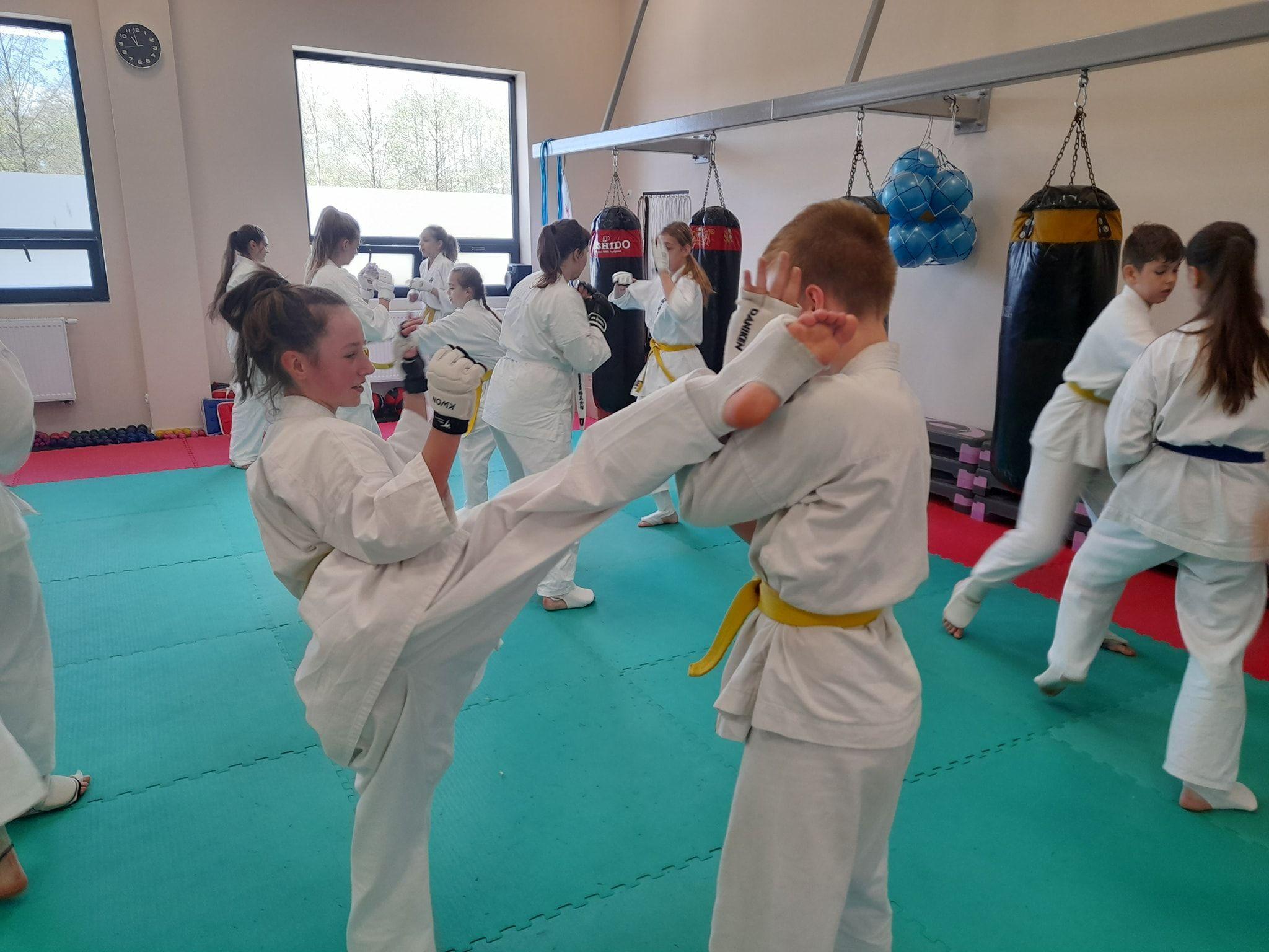 Seminarium szkoleniowe kumite Lipnowskiego Klubu Kyokushin Karate - kliknięcie spowoduje powiększenie obrazka