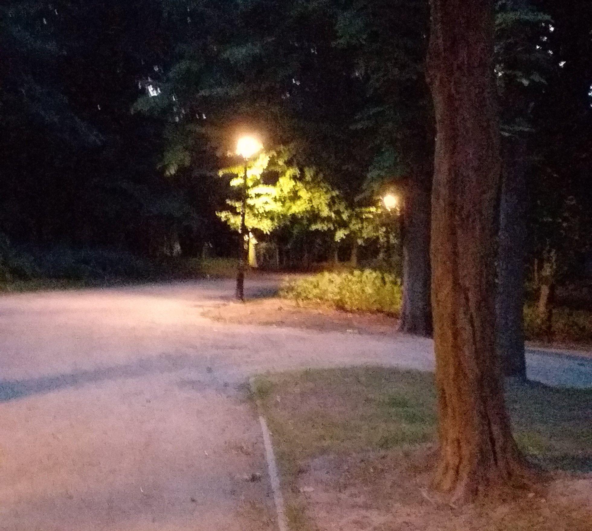 Zdj. nr. 3. Nowe lampy w Parku Miejskim w Lipnie