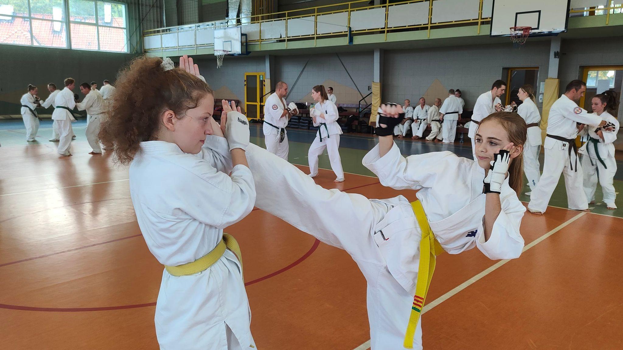 Seminarium szkoleniowe Karate Kyokushin w Lipnie