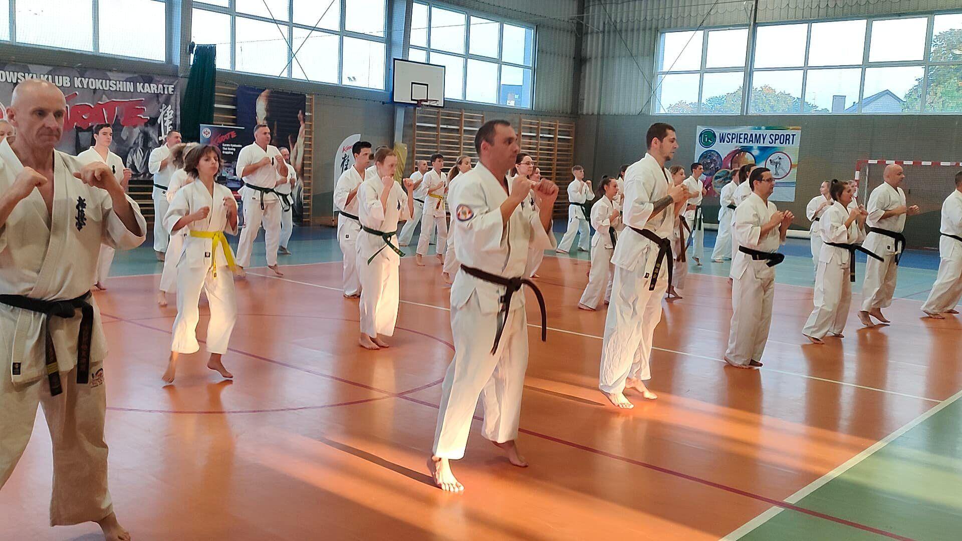 Zdj. nr. 8. Seminarium szkoleniowe Karate Kyokushin w Lipnie
