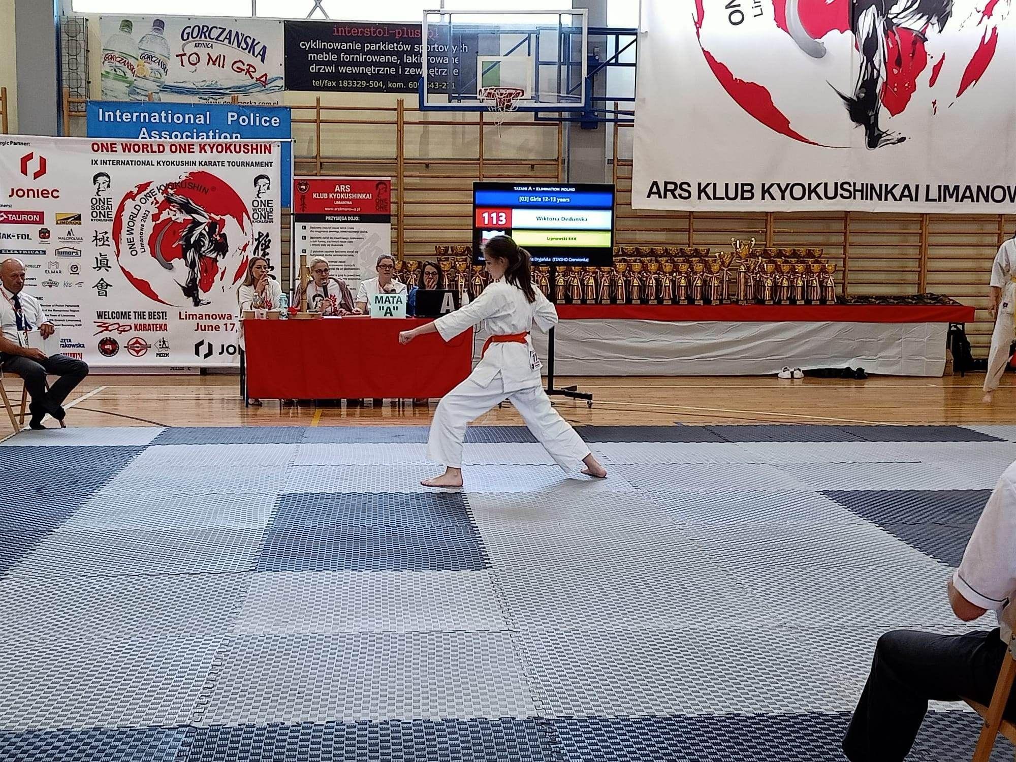 Zdj. nr. 5. IX Międzynarodowy Turniej One World One Kyokushin - 17 czerwca 2023 r., Limanowa