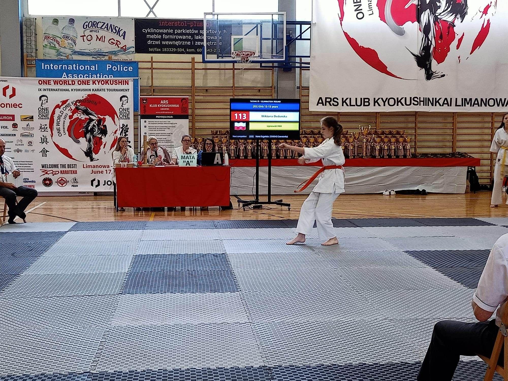 Zdj. nr. 9. IX Międzynarodowy Turniej One World One Kyokushin - 17 czerwca 2023 r., Limanowa