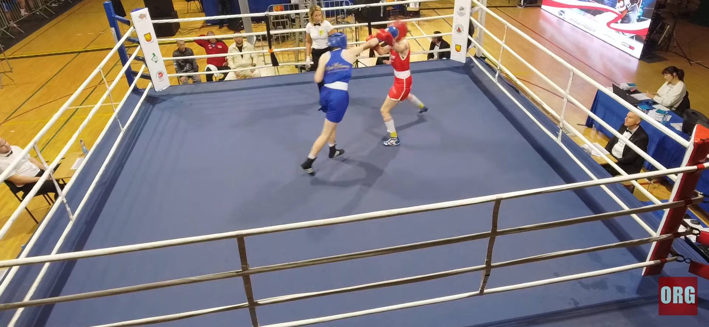 Walka bokserska